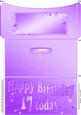 17th Birthday Metallic Age Money or Gift Wallet and Card