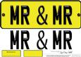 Large Dl Mr & Mr Novelty Number Plate N 3D Decoupage