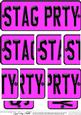Stag Party Novelty Number Plate with Side Stacker