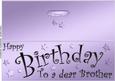 Large Dl Birthday Brother Quick Cut and Fold Card