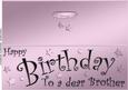 Large Dl Birthday Brother Quick Cut and Fold Card