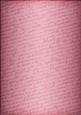 Pink Champers Label Matching Backing Paper