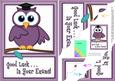 A5 Wise Owl Exam Good Luck Felties Scallop Side Stacker