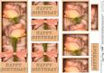 Dl Birthday Roses in a Box with Top N Bottom Stacker