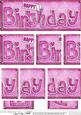 Dl Happy Birthday Denim Felties Side Stacker Topper