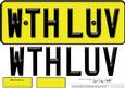 Large Dl with Love Novelty Number Plate N 3D Decoupage
