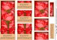 Dl Birthday Roses in a Box with Top N Bottom Stacker