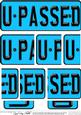 You Passed Novelty Number Plate with Side Stacker