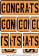 Congratulations Novelty Number Plate with Side Stacker