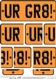 You Are Great Novelty Number Plate with Side Stacker