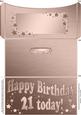 21st Birthday Metallic Age Money or Gift Wallet and Card