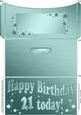21st Birthday Metallic Age Money or Gift Wallet and Card