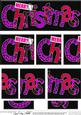 Animal Print Christmas Dl Side Stacker Topper