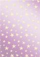 Elegant Christmas Greetings Matching Vellum
