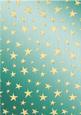 Elegant Christmas Greetings Matching Backing Paper