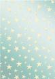Elegant Christmas Greetings Matching Vellum