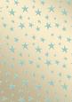 Elegant Christmas Greetings Matching Vellum