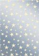 Elegant Christmas Greetings Matching Vellum