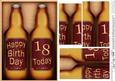 Happy Birthday, 18 Today! Beer Gift Set Pyramage Topper