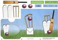 Cricket Lottery Wallet Card