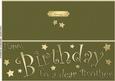 Large Dl Birthday Brother Quick Cut and Fold Card