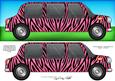 Large Dl Zebra Stripe Stretch Limo Quick Card N 3D Decoupage