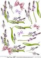 Bluebells 3D Decoupage Sheet