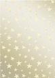 Elegant Christmas Greetings Matching Vellum