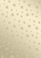 Elegant Christmas Greetings Matching Vellum