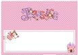 Fairy Jessica Matching Large Dl Insert