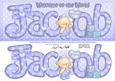 Large Dl New Baby Jacob Quick Card N 3D Decoupage