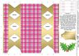 Tartan Cracker Shaped Treat or Favour Box