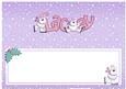 Xmas Lacey Matching Large Dl Insert