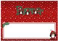 Xmas Partner Matching Large Dl Insert