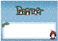 Xmas Partner Matching Large Dl Insert