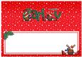 Xmas Carly Matching Large Dl Insert