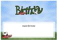 Birthday Football Large Dl Sports Matching Large Dl Insert