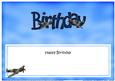 Birthday Spitfire Plane Large Dl Matching Large Dl Insert