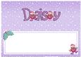 Xmas Daisy Matching Large Dl Insert