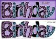 Birthday Animal Print Large Dl Quick Card N 3D Decoupage