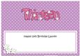 13th Birthday Lauren Large Dl Matching Large Dl Insert
