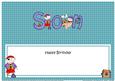 Pirates Birthday Son Large Dl Matching Large Dl Insert