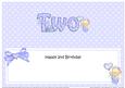 2nd Birthday Large Dl Matching Large Dl Insert