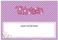 13th Birthday Large Dl Matching Large Dl Insert