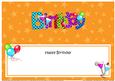 Large Dl Birthday Matching Large Dl Insert
