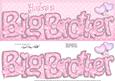 Large Dl Big Brother Felties Card & 3D Decoupage