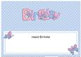Birthday Butterflies Large Dl Matching Insert