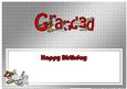 Birthday Grandad Matching Large Dl Insert