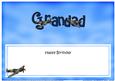 Birthday Grandad Matching Large Dl Insert