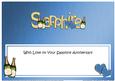 Sapphire Anniversary Large Dl Matching Large Dl Insert